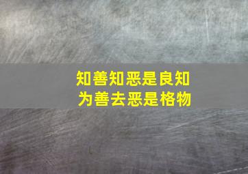 知善知恶是良知 为善去恶是格物